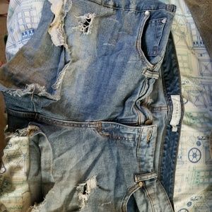 Torrid shorts